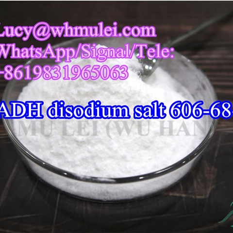 Anti Aging NADH disodium salt Powder CAS 606-68-8 China Top NADH Supplement