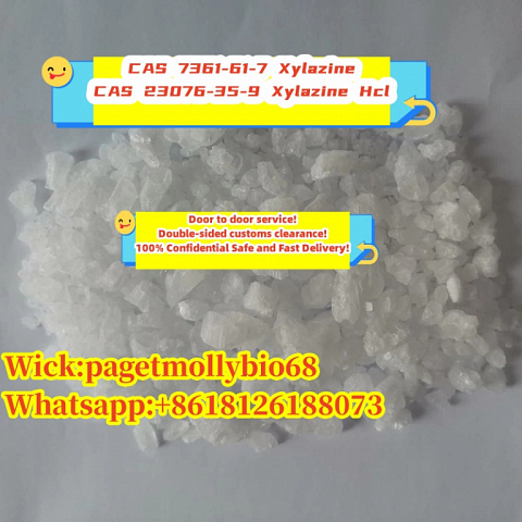 new Batch Chemical raw materials cas 7361-61-7 Xylazine 100% Safe delivery to USA/Mexico!