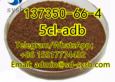  53 CAS:137350-66-4 5cl-adb