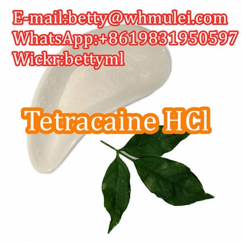 Cas:136-47-0 factory Tetracaine hydrochloride,tetracaine hcl powder favorable price safe delivery