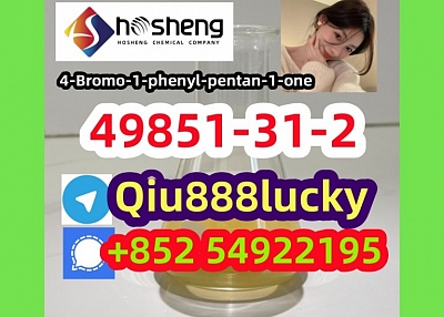 49851-31-2 4-Bromo-1-phenyl-pentan-1-one