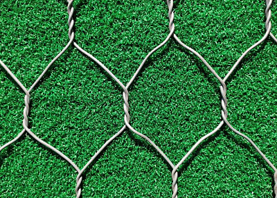 Hexagonal Wire Netting