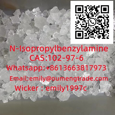 etizolam 40054-69-1 eutylone 802855-66-9 protonitazene 119276-01-6  2-bromazolam