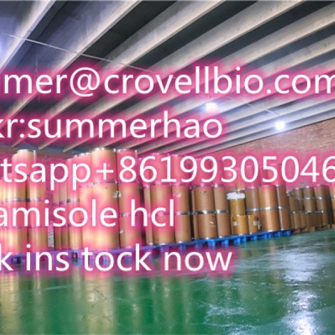 Tetramisole hydrochloride CAS 5086-74-8 supplier in China (+8619930504644 whatsup)