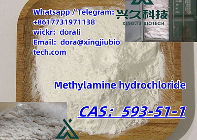 Fast shipping Methylamine hydrochloride Methylamine hcl 593-51-1