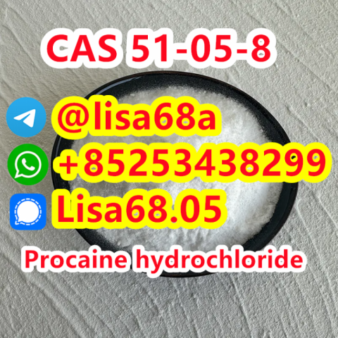 CAS 51-05-8 Procaine hydrochloride C13H21ClN2O2