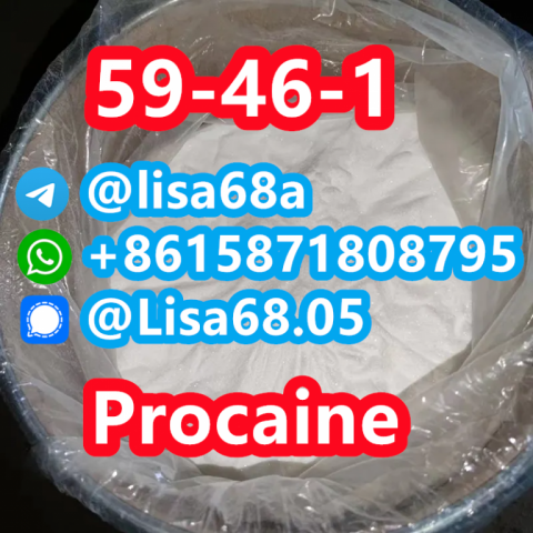 CAS 59-46-1 Procaine C13H20N2O2