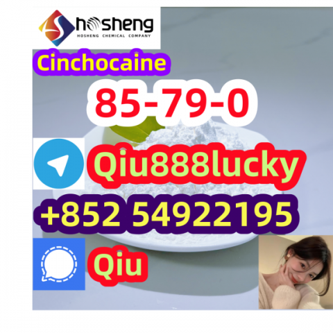 85-79-0 Cinchocaine