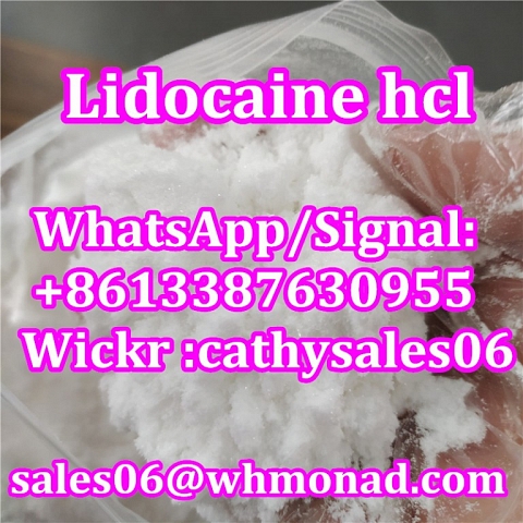 Lidocaine Hydrochloride / Lidocaine HCl CAS 73-78-9 for Pain Killer