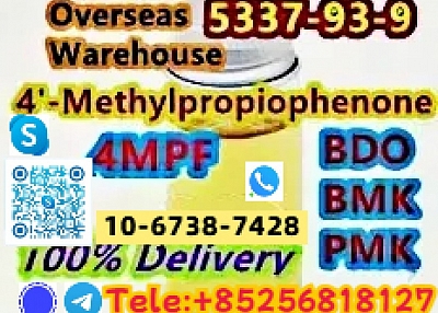 Sell PMK Oil CAS 5337-93-9 PMK ethyl glycidate with large Stock Good Price