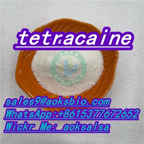 Tetracaine powder cas 94-24-6 tetracaine base tetracaine China factory supply