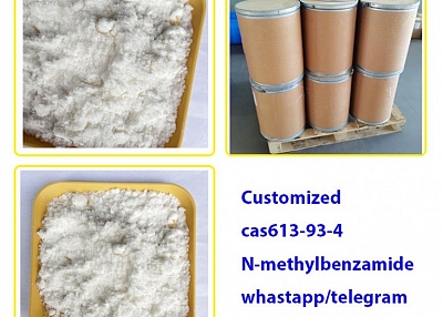 Hot sale Customized N-methylbenzamide 613-93-4 factory in China +8619930504644Whastapp /telegram  