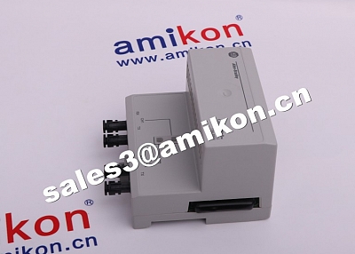 Allen Bradley Rockwell 1756-A10  