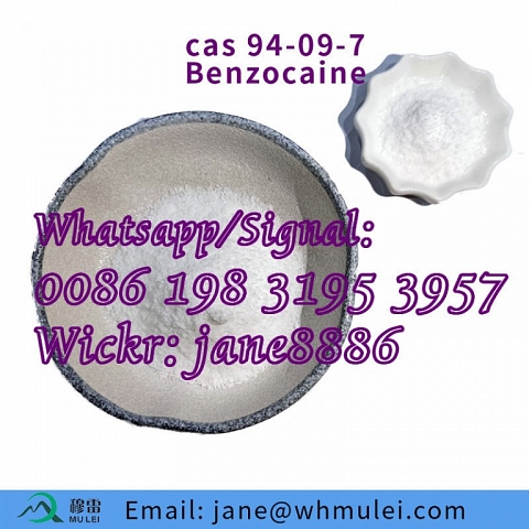 Local Anesthesic Drug Lidocaine Hydrochloride 73-78-9 /Procaine /Benzocaine