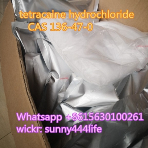 tetracaine hydrochloride CAS 136-47-0