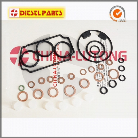 bosch diesel injector rebuild Repair Kits Z 146600-1120 B 9 461 610 423 Fl 800600 for Ve Pump Parts 