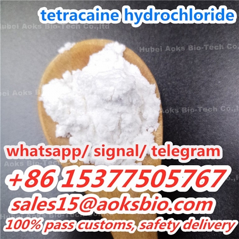 Tetracaine Powder CAS 94-24-6 China top supplier