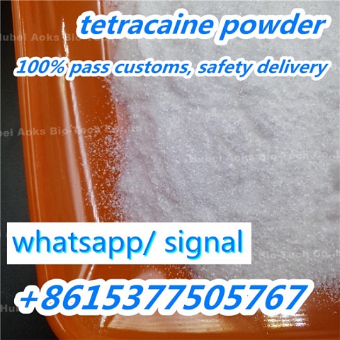 Tetracaine Hydrochloride Tetracaine HCl Powder tetracaine powder