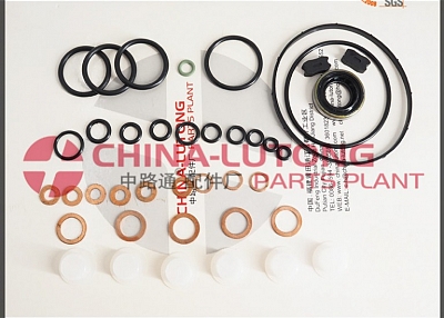 ve pump rebuild kit FOOVC99002fuel injector pump rebuild kit 