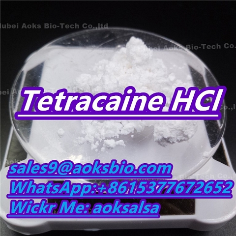 Tetracaine hcl powder cas 