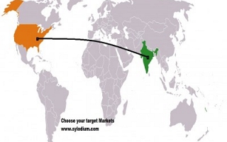 US and India (Sylodium, export to India from US)