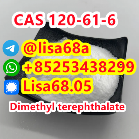 CAS 120-61-6 Dimethyl terephthalate C10H10O4