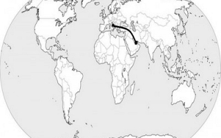 Italy and UAE (Sylodium, export to UAE from Italy)