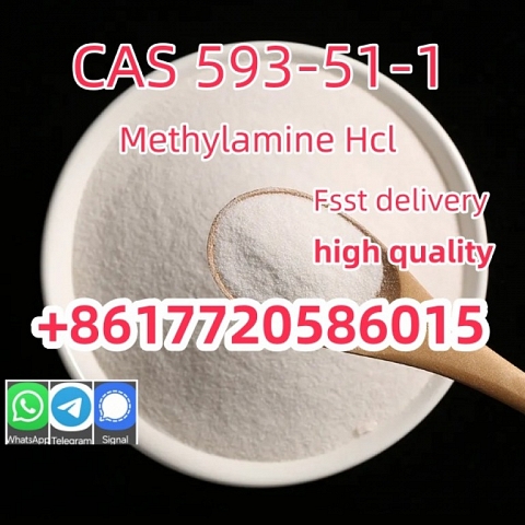 High quality CAS 593-51-1 Methylamine hydrochloride  good price