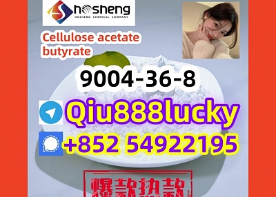 9004-36-8  Cellulose acetate butyrate