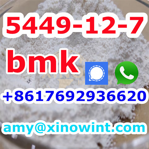 Factory Price bmk powder Bmk Glycidic Acid Sodium Salt CAS 5449-12-7 New Bmk powder