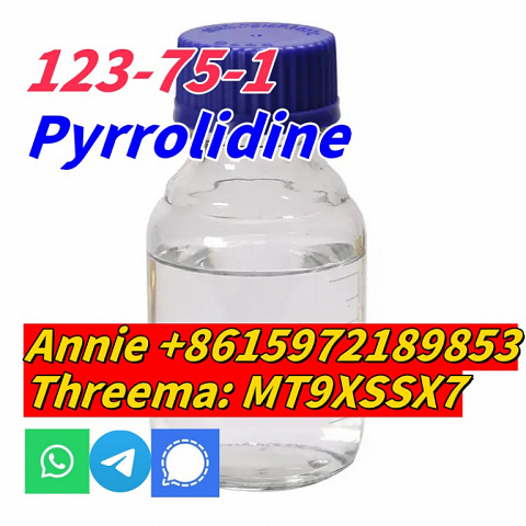 good quality Pyrrolidine CAS 123-75-1 factory supply with low price and fast shipping