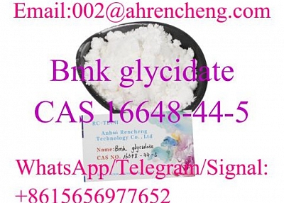 CAS 16648-44-5    Bmk glycidate  Top Quality