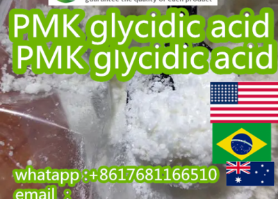 PMK CAS:5449-12-7  glycidic acid   fine powder 