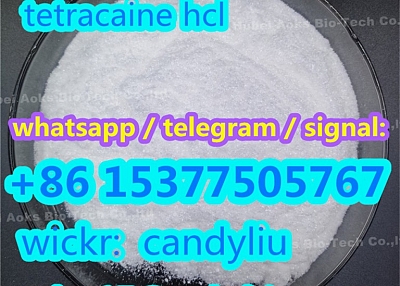 Amethocaine tetracaine with best price, China tetracaine powder 94-24-6