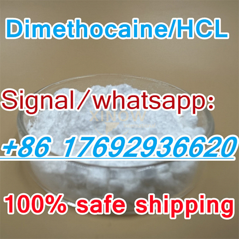 CAS 94-15-5 Dimethocaine in stock with safe delivery