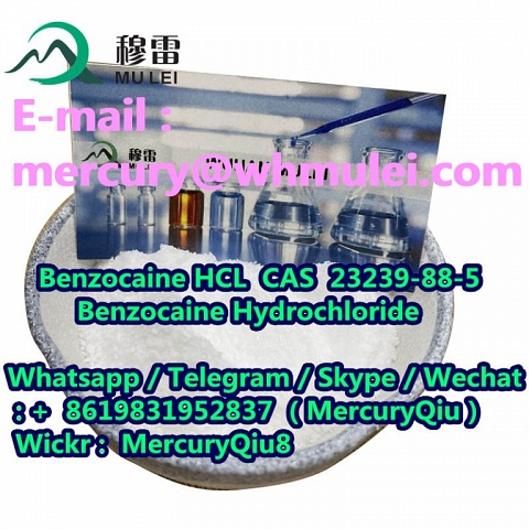 Local Anesthetic Benzocaine HCL White Crystalline Powder cas 23239-88-5