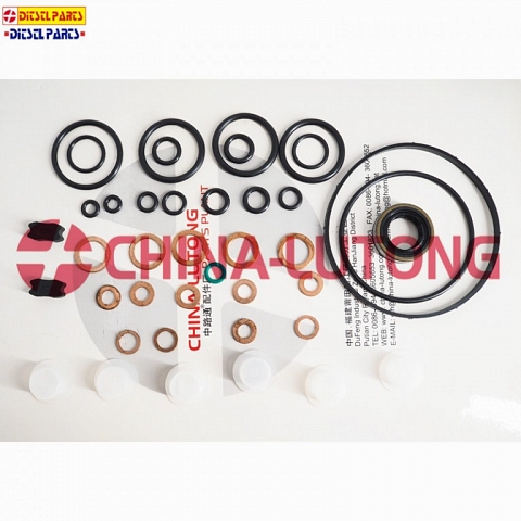 Pump Repair kits Gasket kit And Rebuild Kit 800647 Overhaul Kit