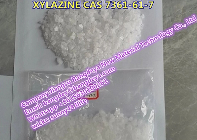 XYLAZINE CAS 7361-61-7