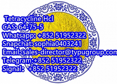  Tetracycline Hcl CAS64-75-5