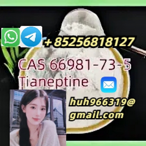 Venta de Tianeptina CAS66981-73-5 a proveedores de China