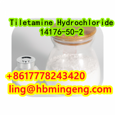 CAS 14176-50-2 Tiletamine Hydrochloride Hot Selling Good Quality Made in China