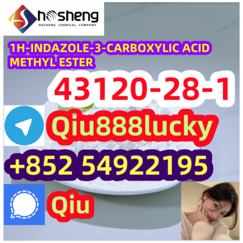 43120-28-1 1H-INDAZOLE-3-CARBOXYLIC ACID METHYL ESTER