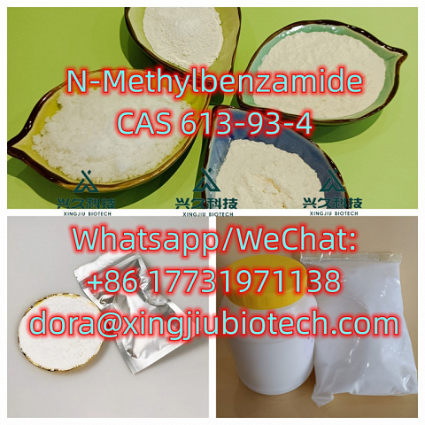 N-methylbenzamide CAS 613-93-4 99% White powder