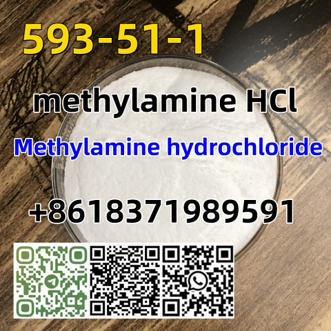 CAS 593-51-1 Methylamine hydrochloride LT-S9151 good price with high qualtiy