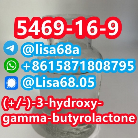 CAS 5469-16-9 (+/-)-3-hydroxy-gamma-butyrolactone C4H6O3