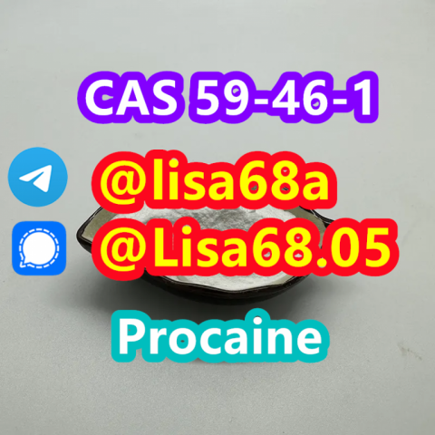 CAS 59-46-1 Procaine C13H20N2O2