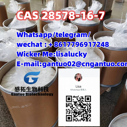 Hot sell  CAS 119276-01-6 CAS 28578-16-7 PMK ethyl glycidate 2114-39-8