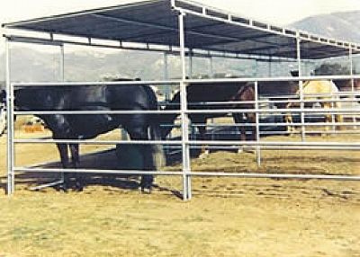 Horse Panel Shelters