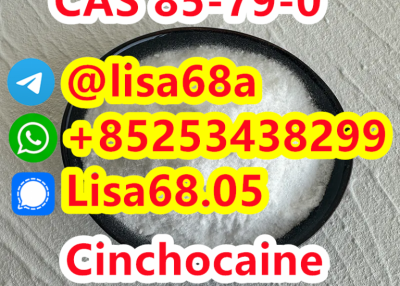 CAS 85-79-0 Cinchocaine C20H29N3O2