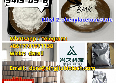 BMK powder/oil 5413-05-8/ 20320-59-6